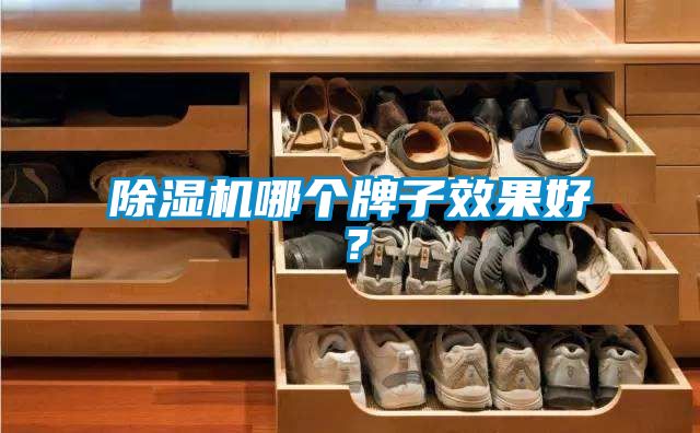 除濕機哪個牌子效果好?