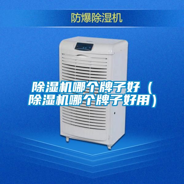 除濕機(jī)哪個牌子好（除濕機(jī)哪個牌子好用）