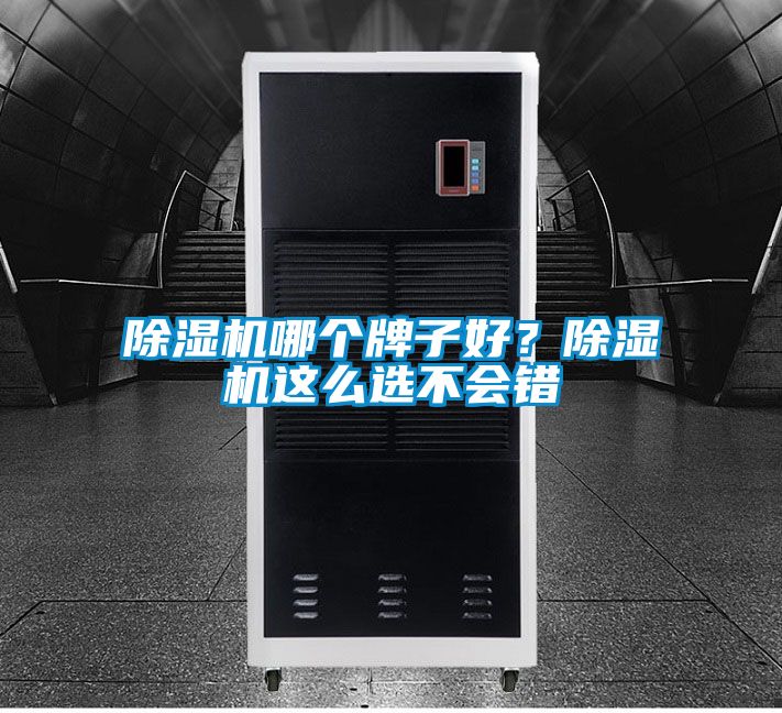 除濕機哪個牌子好？除濕機這么選不會錯