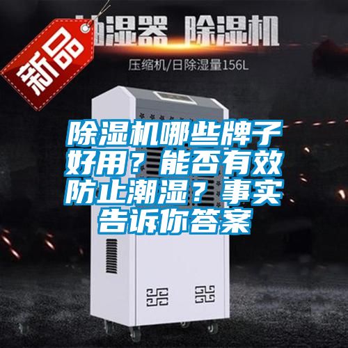 除濕機(jī)哪些牌子好用？能否有效防止潮濕？事實(shí)告訴你答案