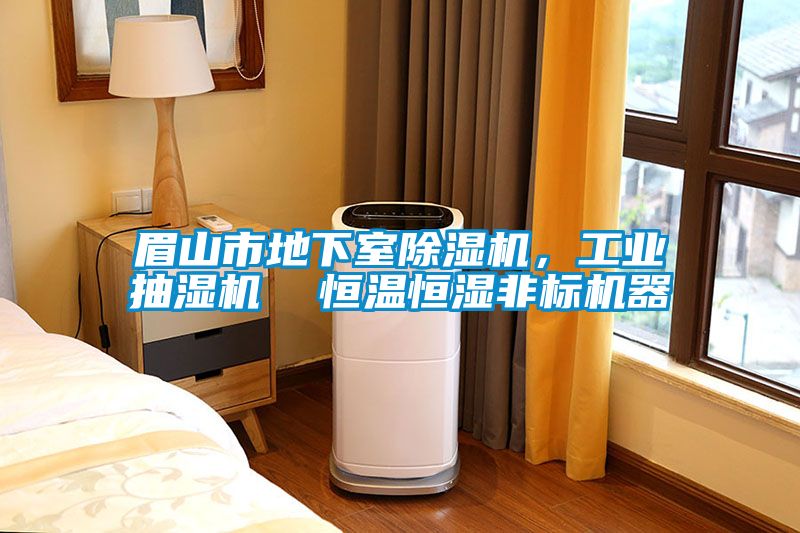 眉山市地下室除濕機(jī)，工業(yè)抽濕機(jī)  恒溫恒濕非標(biāo)機(jī)器