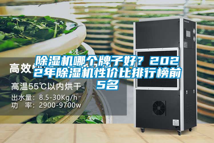 除濕機(jī)哪個(gè)牌子好？2022年除濕機(jī)性價(jià)比排行榜前5名
