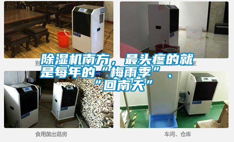 除濕機南方，最頭疼的就是每年的“梅雨季”、“回南天”