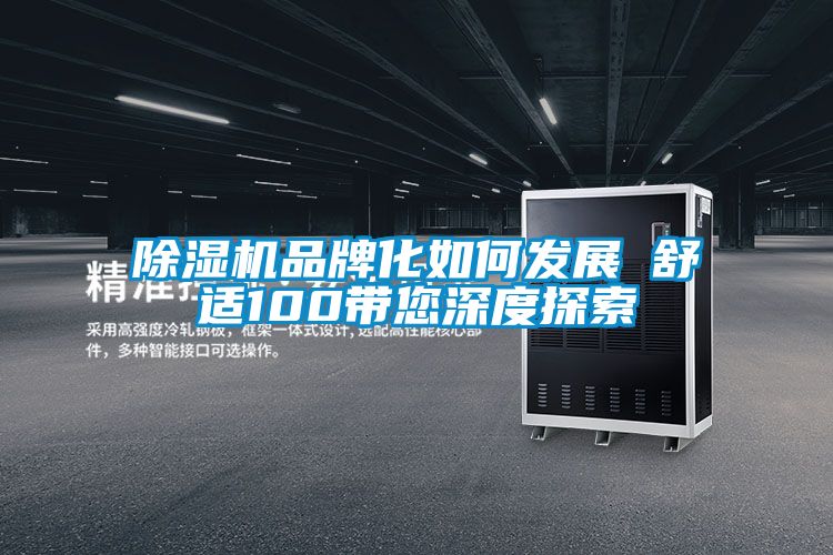 除濕機(jī)品牌化如何發(fā)展 舒適100帶您深度探索