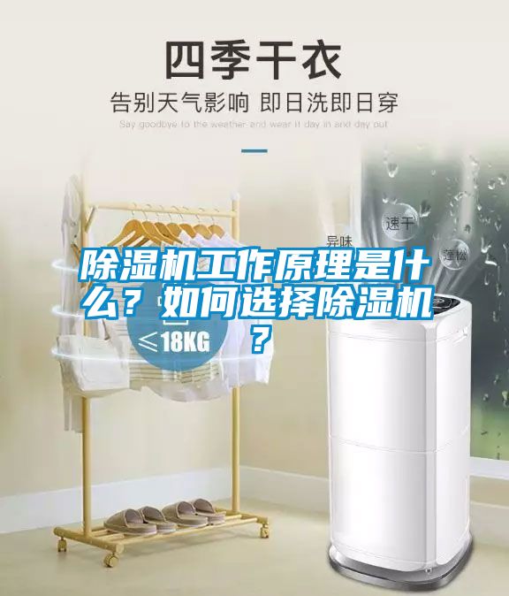 除濕機工作原理是什么？如何選擇除濕機？
