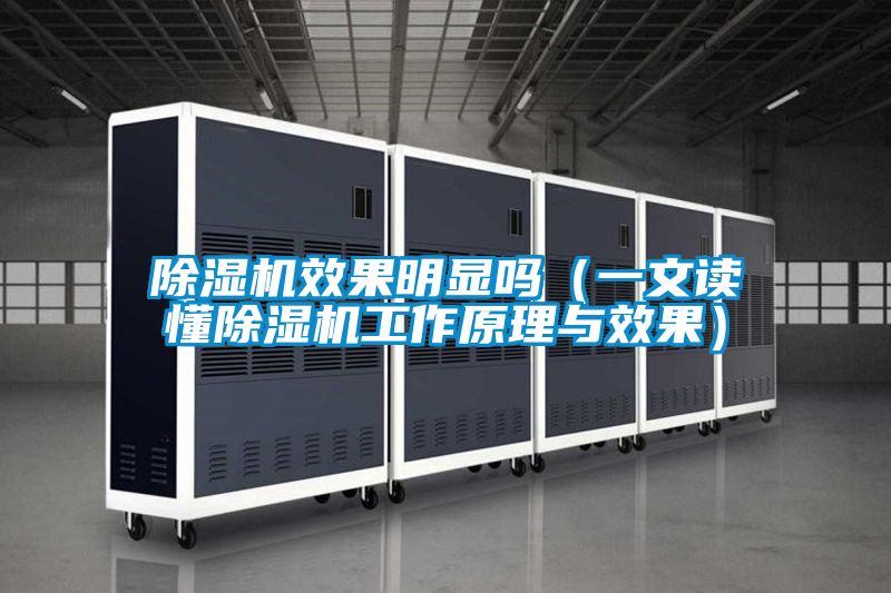 除濕機(jī)效果明顯嗎(一文讀懂除濕機(jī)工作原理與效果)