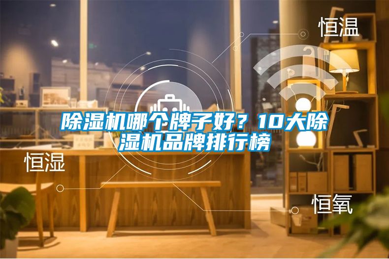 除濕機哪個牌子好？10大除濕機品牌排行榜