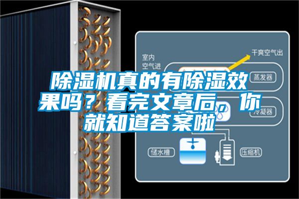 除濕機真的有除濕效果嗎？看完文章后，你就知道答案啦