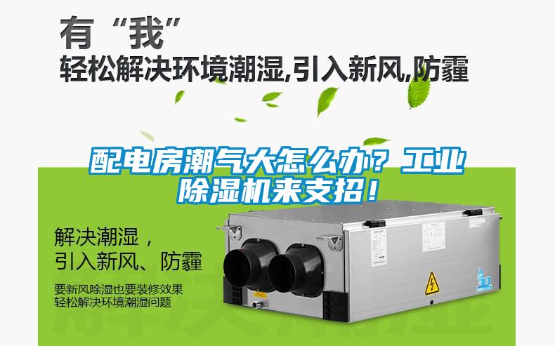 配電房潮氣大怎么辦？工業(yè)除濕機來支招！