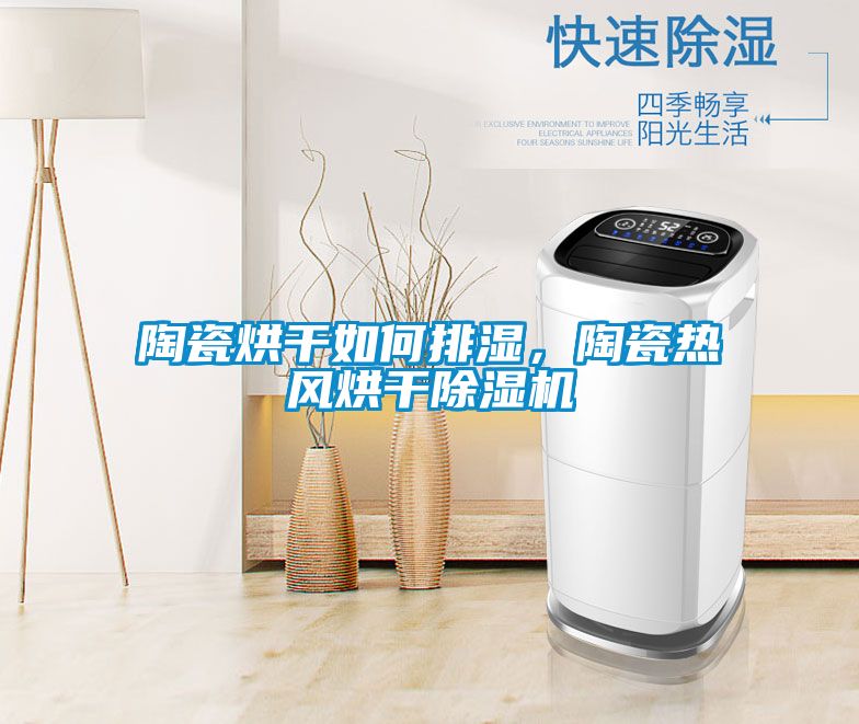 陶瓷烘干如何排濕，陶瓷熱風(fēng)烘干除濕機(jī)