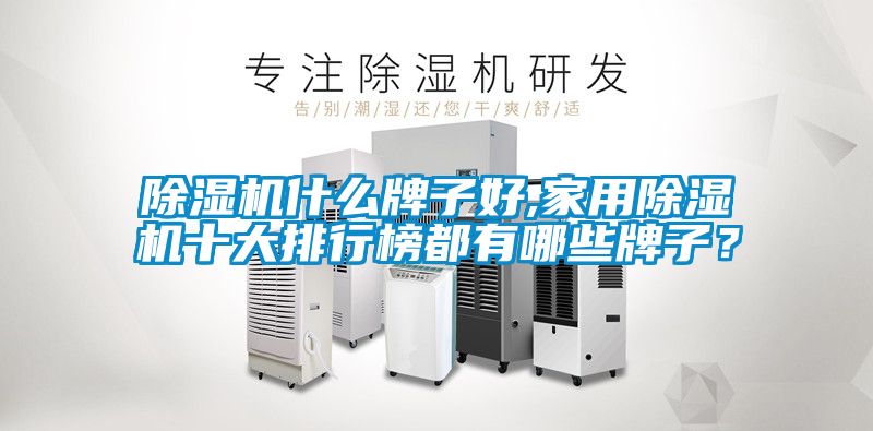 除濕機(jī)什么牌子好,家用除濕機(jī)十大排行榜都有哪些牌子？