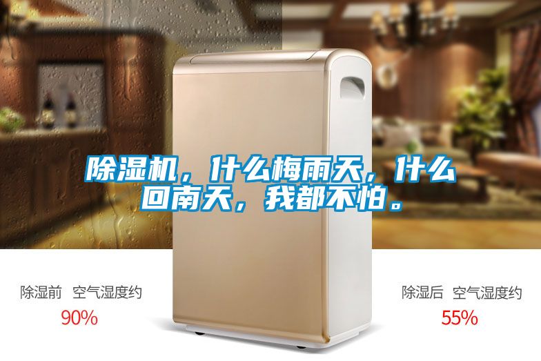 除濕機,什么梅雨天,什么回南天,我都不怕。