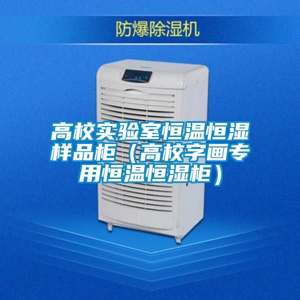 高校實(shí)驗(yàn)室恒溫恒濕樣品柜（高校字畫(huà)專(zhuān)用恒溫恒濕柜）